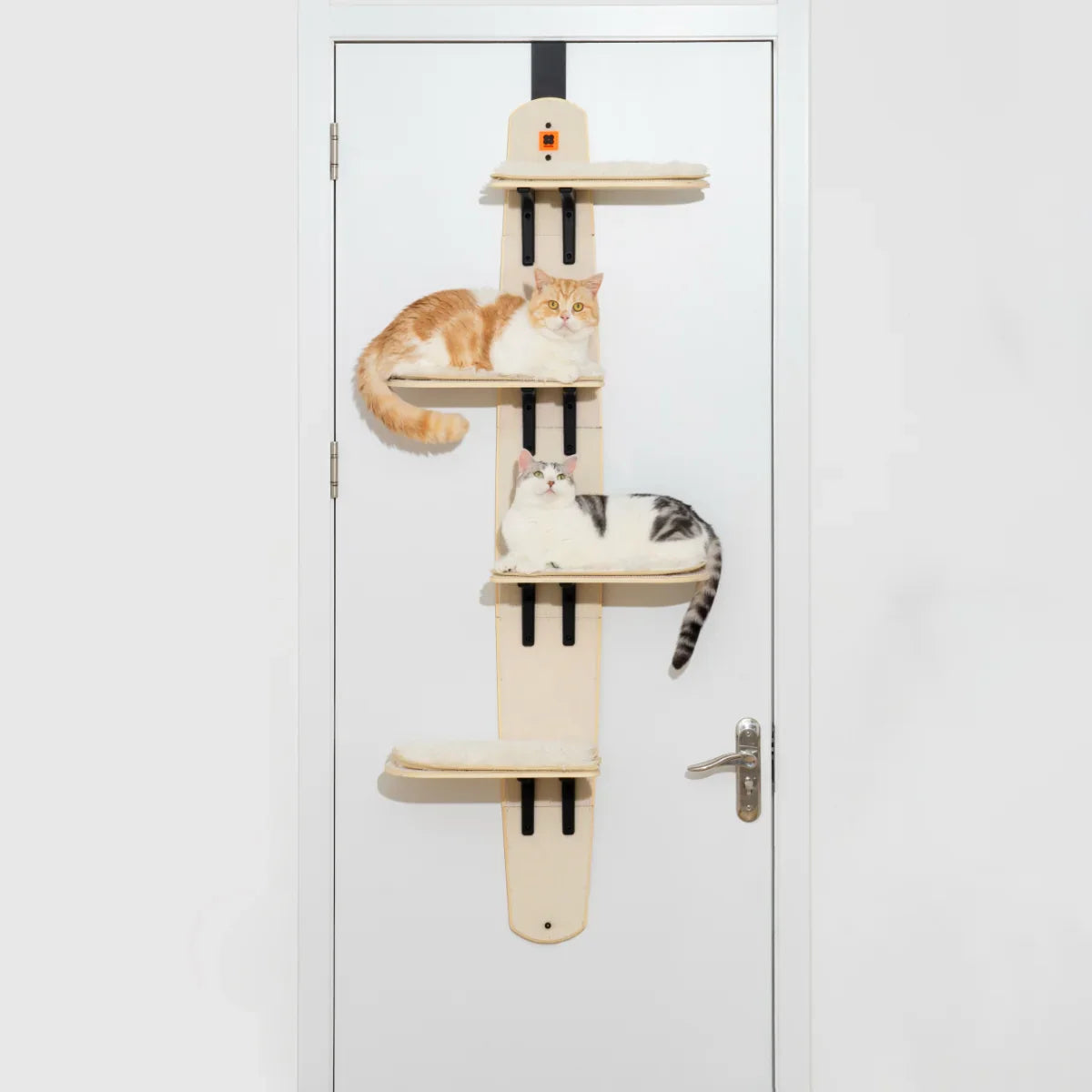 Cat tree on the door