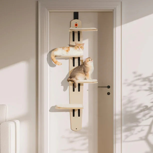 Cat tree on the door
