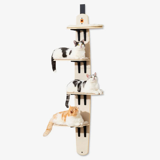 Cat tree on the door
