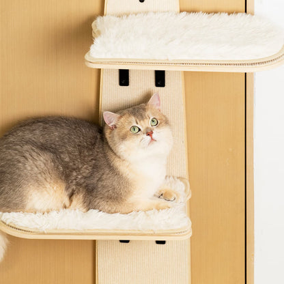 Cat tree on the door