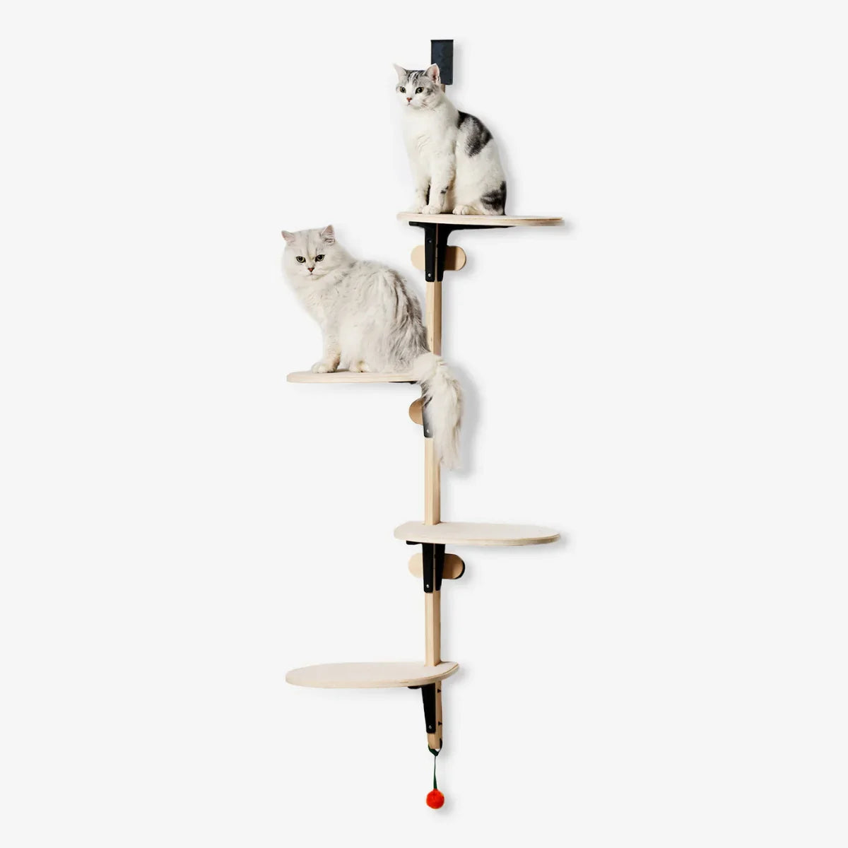 Cat tree on the door