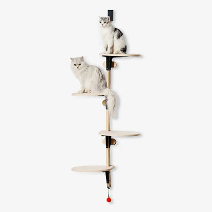 Cat tree on the door